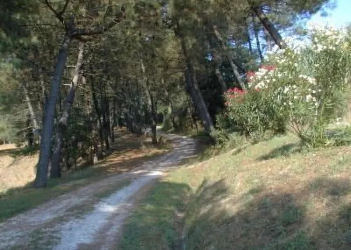 Casa Mimosa By Interhome